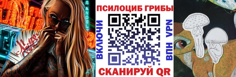 Галлюциногенные грибы Psilocybine cubensis  kraken как войти  Череповец  купить закладку 